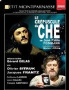 Le crépuscule du Che - Théâtre du Petit Montparnasse