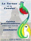 La Tortue et le Condor - Centre Mandapa