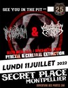 Pyrexia + Cerebral Extinction - Secret Place