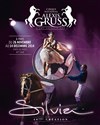 Cirque National Alexis Gruss - Chapiteau Alexis Gruss
