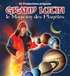 Grand Lutin, le magicien des planètes - Espaces de Congrès et d'Exposition - Toulouse