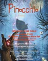 Pinocchio le musical - Théâtre du Gymnase Marie-Bell - Grande salle