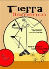 Tierra Flamenco - Théâtre Pixel