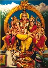Shiva Family - Anis Gras