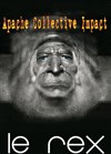 Apache Collective Impact - Le Rex de Toulouse