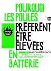 Pourquoi les poules préfèrent être élevées en batterie - Théâtre de Belleville