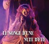 Le songe d'une nuit d'été - Théâtre de la Cité