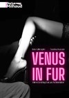 Venus in fur - Théâtre Darius Milhaud