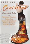Concert de gala du Festival Cantarena - Centre culturel de Serbie / Kulturni centar Srbije