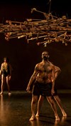 Marcelo Evelin & Demolition Incorporada : Uirapuru - Chaillot - Théâtre National de la Danse / Salle Gémier
