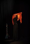 La tresse - Théâtre de l'Astrolabe