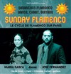 Sunday Flamenco - Péniche Antipode