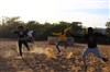 Dakar-Paris et vice et versa : Les circuits migratoires des danses Sabar - Lavoir Moderne Parisien