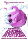 Une mémoire d'éléphant (dans un magasin de porcelaine) - Théâtre de l'Impasse