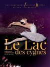 Le Lac des Cygnes - Micropolis