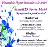 Les Chefs d'oeuvres du répertoire pour Orchestre à cordes - Eglise Saint André de l'Europe