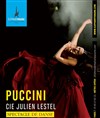 Puccini - Eléphant Paname
