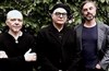 Sanseverino en trio - Le Son de la Terre
