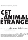 Cet animal étrange - Théâtre de Ménilmontant - Salle Guy Rétoré