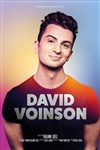 David Voinson - Le Complexe Café-Théâtre - salle du bas