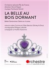 La Belle au Bois Dormant - Opéra de Massy
