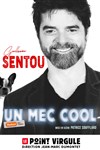 Guillaume Sentou dans Un mec cool - Le Point Virgule