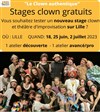 Stage gratuit - 2 rue Roger Salengro