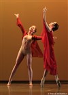 Ballet de l'Ouest Parisien - Espace théâtre Bernard Palissy