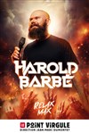 Harold Barbé dans Relax Max - Le Point Virgule