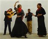 Vuelo flamenco - L'entrepôt - 14ème 