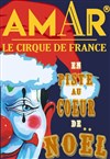 Cirque Amar® dans Maestria - Chapiteau du Cirque Amar à Châtellerault