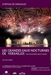 Les Grandes Eaux Nocturnes - Jardin du château de Versailles - Entrée Cour d'Honneur