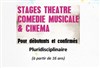 Stage théâtre, comédie musicale, Cinéma - Studio International des Arts de la Scène