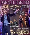 Show hommage Michel Sardou - Le Darcy Comédie