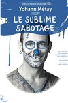 Yohann Métay dans Le sublime sabotage - Théâtre à l'Ouest Auray