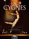 Le lac des cygnes - La Seine Musicale - Grande Seine