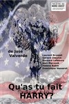 Qu'as-tu fait Harry - Théâtre du Nord-Ouest