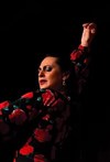 Tablao Flamenco avec Héléna Cueto - Théâtre La Ruche 