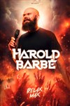 Harold Barbé dans Relax Max - Théâtre à l'Ouest