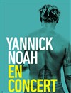 Yannick Noah - CEC - Théâtre de Yerres