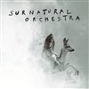 Surnatural Orchestra - Studio de L'Ermitage