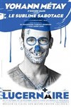 Yohann Métay dans Le sublime Sabotage - L'espace V.O