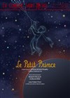 Le Petit Prince - La Comédie Saint Michel - grande salle 