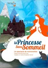 La Princesse sans Sommeil - Théâtre Pixel