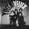Yucca Velux - Le Baiser Salé
