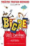 Bigre - Théâtre Tristan Bernard