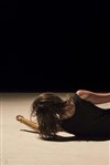 Rachid Ouramdane : Variation(s) - Chaillot - Théâtre National de la Danse / Salle Gémier