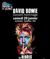 Heroes : Hommage à David Bowie - Le Grenier