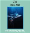 Selkie, ce que l'on porte - Le Théâtre de la Girandole