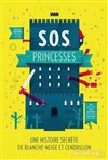 S.O.S princesses, une histoire secrète de Blanche-Neige et Cendrillon - Guichet Montparnasse